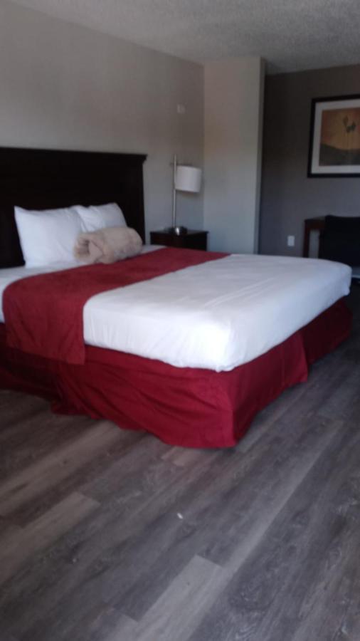 La Casa Inn New Port Richey Gulf Beach Us-19 Eksteriør billede