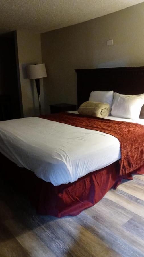 La Casa Inn New Port Richey Gulf Beach Us-19 Eksteriør billede